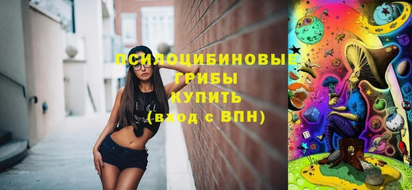 ПСИЛОЦИБИНОВЫЕ ГРИБЫ Лихославль
