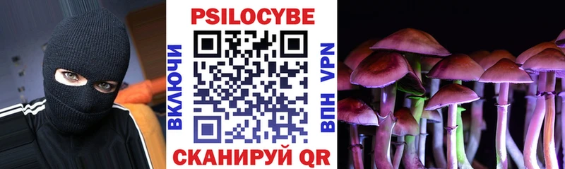 Псилоцибиновые грибы Psilocybe  KRAKEN маркетплейс  Котельнич 